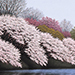 Hiroyuki Hara Gallery